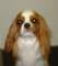 lucy_small.jpg
